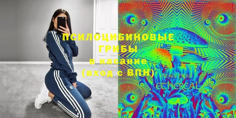 Галлюциногенные грибы Magic Shrooms  Урюпинск 